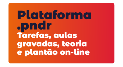 Plataforma .pndr: tarefas, aulas gravadas, teoria e plantão on-line